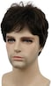 Lydell (6 Chestnut Brown- Men Wig Natural Short Straight Hair Synthetic Full Wigs (6 Dark Brown
