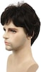Lydell (6 Chestnut Brown- Men Wig Natural Short Straight Hair Synthetic Full Wigs (6 Dark Brown