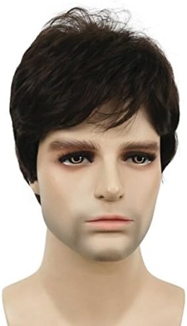 Lydell (6 Chestnut Brown- Men Wig Natural Short Straight Hair Synthetic Full Wigs (6 Dark Brown