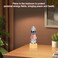 I-MART Feng Shui 5 Color 5 Element Pagoda (6-inch