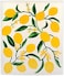 DII Swedish Dishcloths for KitchenCleaning, Reusable, Machine WashableDishwasher Safe, Biodegradable, 7.75 x 6.75, Lemons, 3 Piece