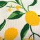 DII Swedish Dishcloths for KitchenCleaning, Reusable, Machine WashableDishwasher Safe, Biodegradable, 7.75 x 6.75, Lemons, 3 Piece