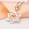 Apotie Sterling 925 Silver Love Heart Rose Gold Six Point Star of David Pendant Necklace Gift Jewish Jewelry for Women or Girls