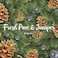 Air Wick Plug in Scented Oil 2 Refills, Fresh Pine and Juniper, Fall scent, Fall spray, (2x0.67oz, Essential Oils, Air Freshener, Packaging May Vary