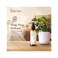 Gya Labs Lemongrass Hydrosol - Spray for Outdoors and Skin Care - Face Mist Spray For Skin - Natural Essential Oil Spray for Skin Care (3.4 fl oz