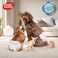 Simple Solution Disposable Male Dog Wraps, Waist 9"-14", XS