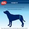 Simple Solution Disposable Male Dog Wraps, Waist 9"-14", XS