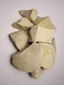 olgashopchalk Olgachalkshop The Edible Clay Ural 200Gr.