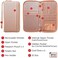 Apadi Travel Document Organizer - RFID Passport Wallet Case Family Holder Id Wristlet