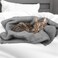 furrybaby Dog Blanket Soft Dog Blankets for Small Dogs Puppy Essentials Washable Sherpa Fleece Cat Blanket 24x32 Inches for Bed Furniture Couch Sofa (Small, Grey