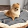 furrybaby Dog Blanket Soft Dog Blankets for Small Dogs Puppy Essentials Washable Sherpa Fleece Cat Blanket 24x32 Inches for Bed Furniture Couch Sofa (Small, Grey