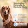Paw Fume Premium Grooming Spray Dog Spray Deodorizer Perfume For Dogs - Dog Cologne Spray Long Lasting Dog Sprays - Dog Perfume Spray Long Lasting After Bath- Dog deodorizing Spray (Show Dog&hellip;