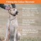 جهاز تدريب الكلاب عن بعد SportDOG SportTrainer - طوق صدمات بمدى نصف ميل - شاشة OLED - طوق تدريب الكلاب الإلكتروني المقاوم للماء والقابل لإعادة الشحن مع خاصية النغمة والاهتزاز والكهرباء الساكنة - قابل