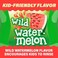 ACT Kids Anticavity Fluoride Rinse Wild Watermelon 16.9 Ounce Original Version
