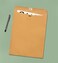 EnDoc Clasp Envelopes &ndash; 10x13 Inch Brown Kraft Catalog Envelopes with Clasp ClosureGummed Seal &ndash; 28lb Heavyweight Paper Envelopes for Home, Office, Business, Legal or School 30 Pack 10x13, Brown Kraft