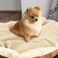 furrybaby Premium Fluffy Fleece Dog Blanket, Soft and Warm Pet Throw for DogsCats (Small 24x32', Beige