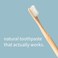 Nelson Naturals Citrus Spice Blend Fluoride Free Toothpaste 3.3 oz