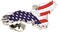 PinMart Patriotic Eagle Pin Soaring American EagleBronze, Gold or Nickel Plated Enamel Lapel Pin with Clutch Back for Coats, Suit Jackets, and Lanyards