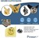 PinMart Patriotic Eagle Pin Soaring American EagleBronze, Gold or Nickel Plated Enamel Lapel Pin with Clutch Back for Coats, Suit Jackets, and Lanyards