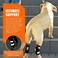 NeoAlly Dog Rear Leg Braces Ankle Support [Pair] Canine Hind Hock Sleeves with Safety Reflective Straps for Injury, Sprain, Wound Healing and Arthritis (Large
