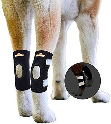 NeoAlly Dog Rear Leg Braces Ankle Support [Pair] Canine Hind Hock Sleeves with Safety Reflective Straps for Injury, Sprain, Wound Healing and Arthritis (Large