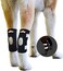 NeoAlly Dog Rear Leg Braces Ankle Support [Pair] Canine Hind Hock Sleeves with Safety Reflective Straps for Injury, Sprain, Wound Healing and Arthritis (Large