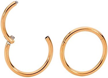 365 Sleepers 2 Pcs Stainless Steel 20G (Very ThinHinged Hoop Segment Nose Ring Sleeper Earrings 5mm - 6mm - 7mm - 8mm - 9mm - 10mm, Stainless Steel, no gemstone
