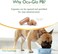 Ocu-GLO PB Vision Supplement for Small DogsCats &ndash; Easy to Administer Powder Blend with Lutein, Omega-3 Fatty Acids, GSeed Extract and Antioxidants to Promote Eye Health, 30ct Sprinkle Capsules