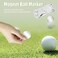 Mile High Life (Silver Fish- All Metal Foldable Golf Divot Tool with Pop-up ButtonMagnetic Ball Marker (Multi-Colours/Shape