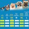 Mihachi Turtleneck Dog Jumper - Dog Sweater Winter Coat Apparel Classic Cable Knit Clothes with Leash Hole for Cold Weather