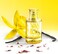Solinotes Vanille Eau de Parfum for Women, 50 ml