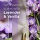 Glade PlugIns Refills Air Freshener, Scented and Essential Oils for Home and Bathroom, LavenderVanilla, 3.35 Fl Oz, 5 Count