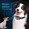 DogRook Rechargeable Dog Bark CollarSmart Collar for Dog TrainingNo ShockBeepVibrationNo Bark Collar for DogsAnti Bark Collar for Large Dog, Medium Dog, Small Dog12-110 lbs