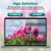 F FORITO 2-Pack 13.3 inch Anti Blue Light Laptop Screen Protector, Anti GlareAnti Scratch Screen Filter Compatible with 13&rdquo; Lenovo/ASUS/Dell/HP/Acer/HP/SAMSUNG with 16:9 Aspect Ratio
