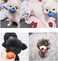 HDSX Smile Face Dog Squeaky Toys Soft Latex Squeak Balls for Puppy Small Pet Dogs 6 Pcs/Set