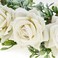 Vividsun Women Flower Crown Floral Headpiece Festival Wedding Hair Wreath Floral Crown (White
