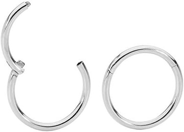365 Sleepers 2PCS 20G Surgical Steel 6mm - 10mm Hinged Hoop Segment Septum Cartilage Helix Tragus Lip Eyebrow Nose Ring Sleeper Earrings (10mm