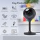 Geeni LOOK Indoor Smart Security Camera, 1080p HD Surveillance with 2-Way Talk and Motion Detection, Works with Alexa and Google Assistant, No Hub Required (1 Pack