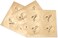 Papyrus Blank Cards with Envelopes, Blossoms (12-Count