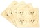 Papyrus Thank You Cards with Envelopes, Gold Border (16-Count
