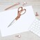 Westcott 16968 20.3 cm Stainless Steel Rose Gold Scissors for Office and Home