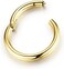 NewZenro 5Pcs Stainless Steel 16G 18G Sleeper Hoop Earrings for Women Men Septum Hinged Clicker Nose Lip Ring Helix Daith Cartilage Tragus Piercings Tiny Small Huggie Hoops Hypoallergenic Sensitive Ea