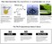 STEMBOTANY Biopuremed 25.5% Vitamin CeFerulic Acid Serum For Face: Brightening Anti Wrinkle Serum With Tripeptide-5, Retinol, Hyaluronic Acid Tns Best Korean Organic Vitamin C Serum/Face Moisturizer