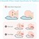 Babebay Toddler Pillow,13X18 Soft Baby Pillows for Sleeping, Machine Washable Kids Pillow , Perfect for Travel, Toddlers Cot,1 Pack (not with Pillowcase