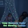 South To East Fire Retardant Fabric Anti Mosquito Glow in Dark Bed Canopy with Fluorescent Stars for Baby, Kids, Girls Or Adults