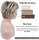 Rosastar Rosa Star Synthetic Hair Wig Ombre Light Brown to Blonde Short Wig for Women