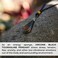 Orgonite Crystal Emotional Body Purification Black Tourmaline Tear Drop Pendant for Strengthen Immune System - Swallows Negative Energy - Positivity