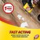GOOF OFF FG900 Splatter Hardwoods Dried Paint Remover, &ndash; 12 oz. can, 12 Ounces
