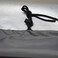 Mini Lustrous Rowing Machine Cover, Fitness Equipment Covers Protective Cover