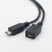 محول AuviPal 2 في 1 من Micro USB إلى USB (كابل OTG وكابل طاقة لأجهزة FireStick و PlayStation Classic وغيرها - عبوة من قطعتين)
